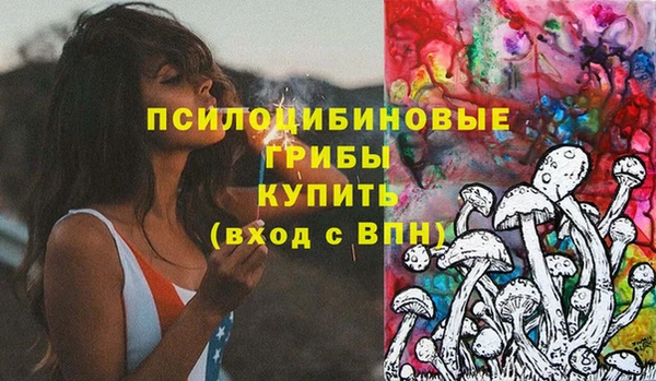 прущий лед Лагань