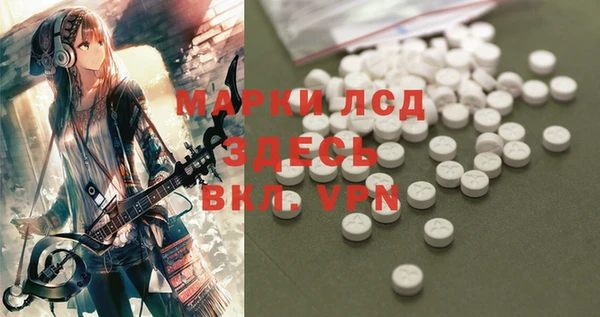 бошки Лабытнанги