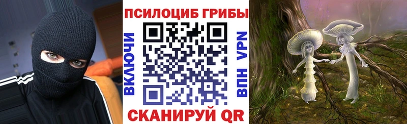 Галлюциногенные грибы MAGIC MUSHROOMS  закладки  Советская Гавань 