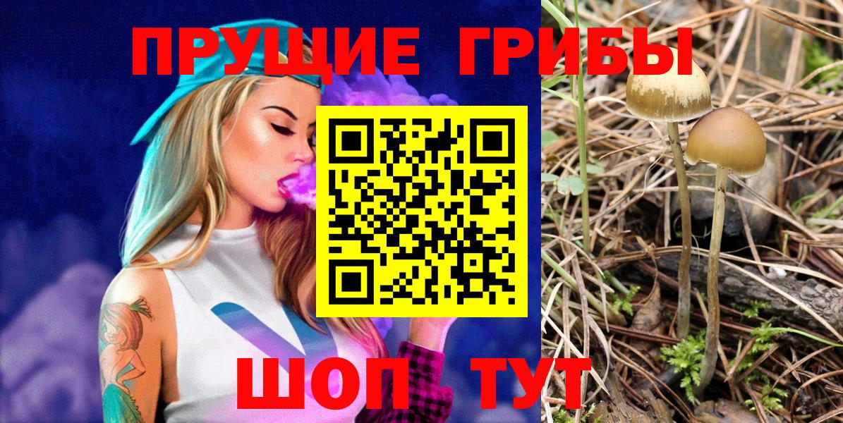 Псилоцибиновые грибы Cubensis Советская Гавань