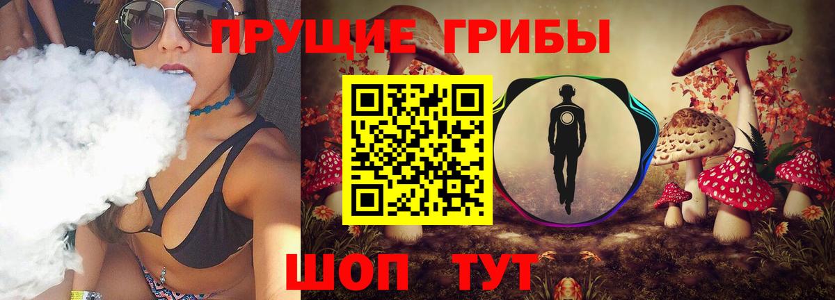 Псилоцибиновые грибы Psilocybine cubensis  где продают   Советская Гавань  Галлюциногенные грибы Magic Shrooms 